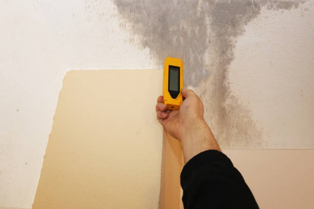 Best Mold Remediation for Healthcare Facilities  in Miami Shores, FL