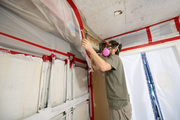 Best Emergency Mold Remediation  in Miami Shores, FL