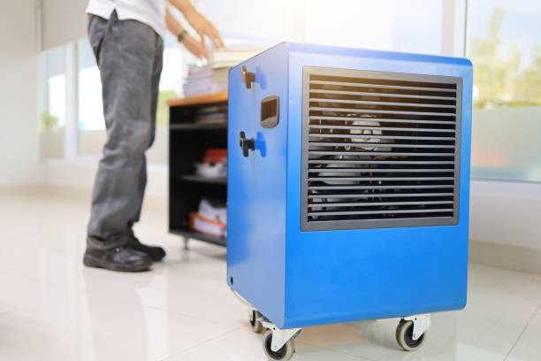 Best Mold Prevention Services  in Miami Shores, FL