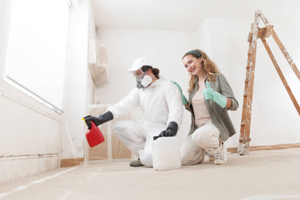 Best Biohazard Mold Removal  in Miami Shores, FL
